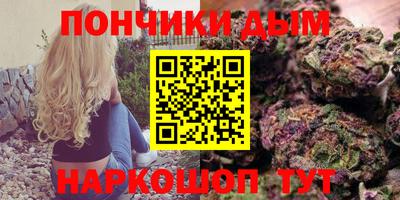 амф Кингисепп