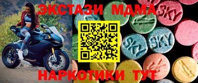 амф Кингисепп