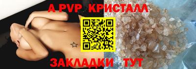 амф Кингисепп
