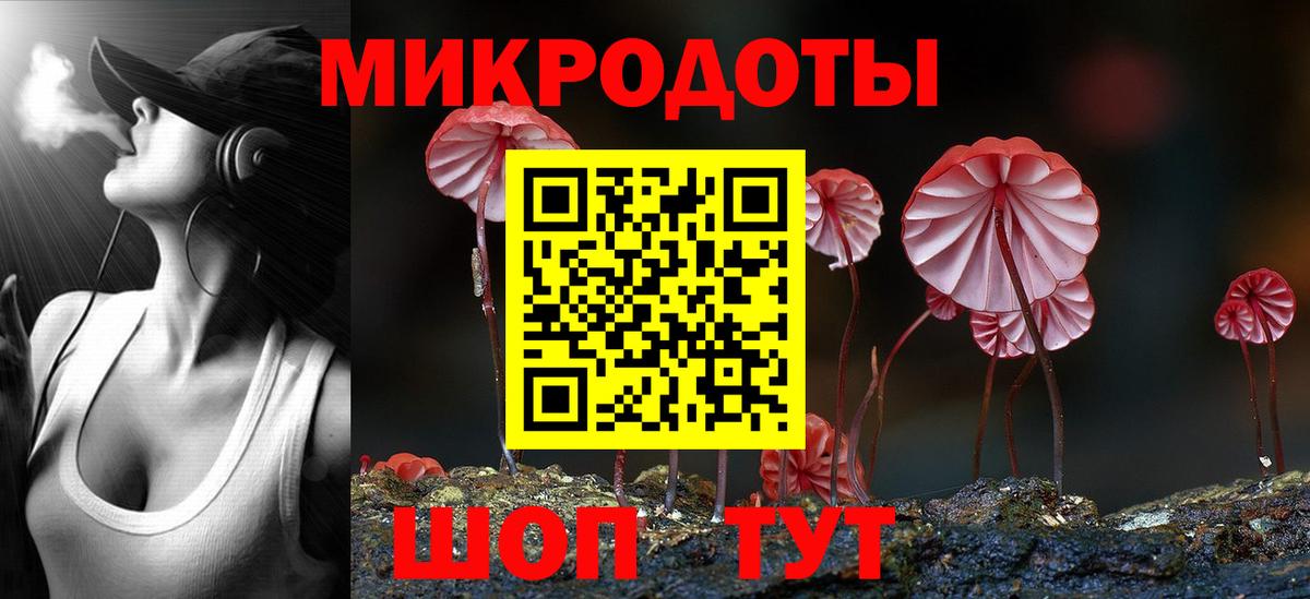 Сунжа  Галлюциногенные грибы Cubensis  Псилоцибиновые грибы Cubensis  Вход с VPN 